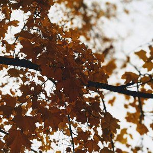 Meet your Posher, Gillian